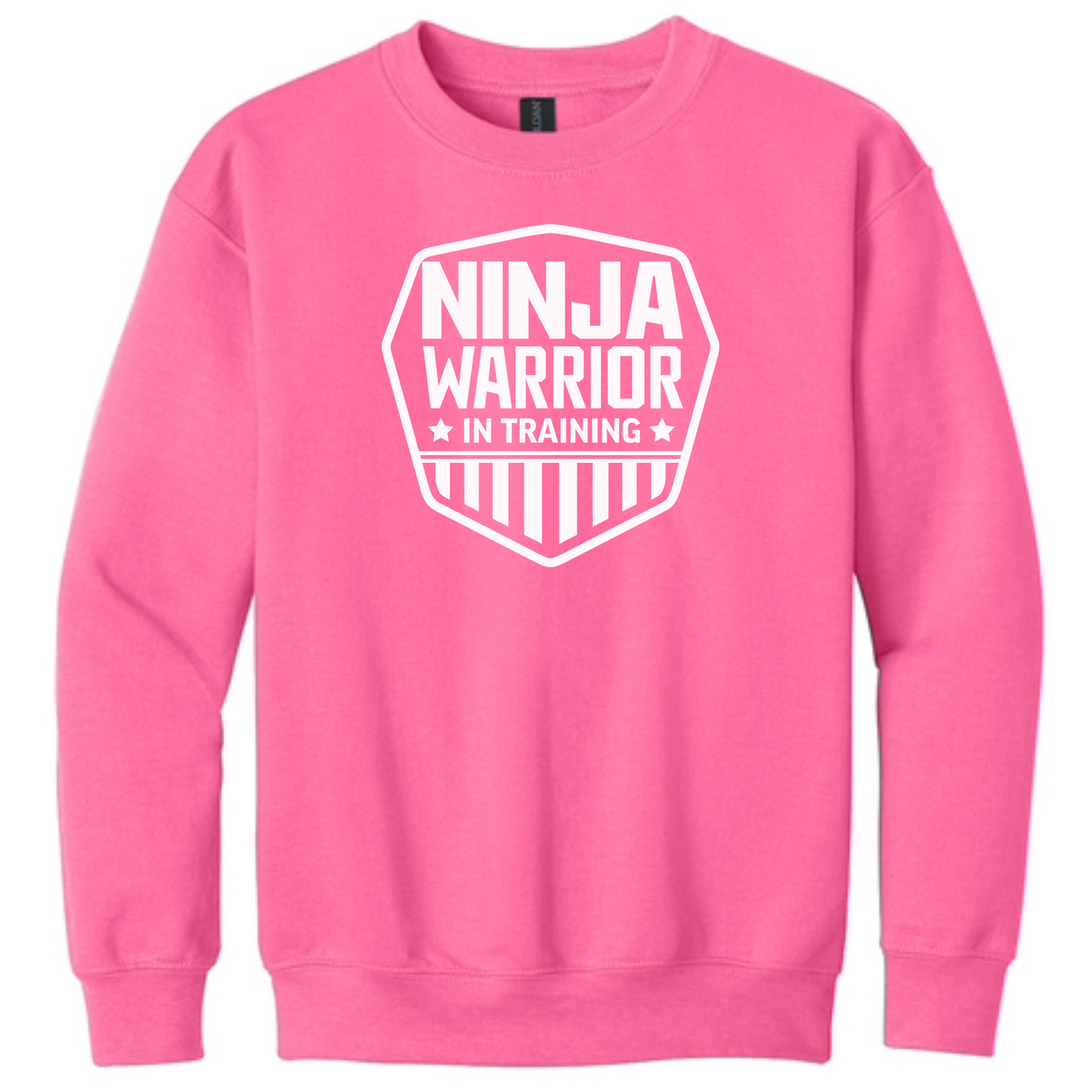 Ninja in Training Youth Crewneck Sweatshirt, Kids Ninja Sweatshirt